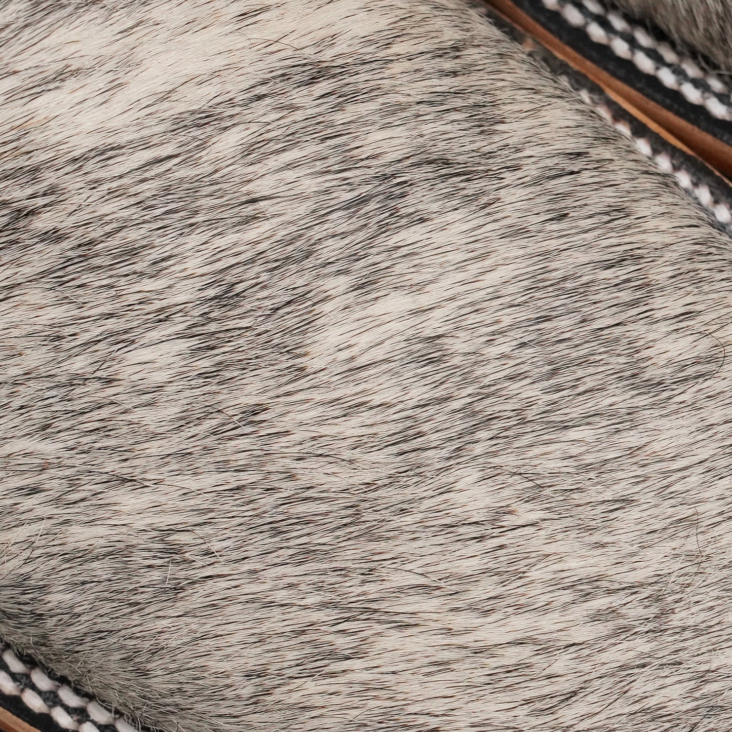 Imported natural cowhide cowboy boots